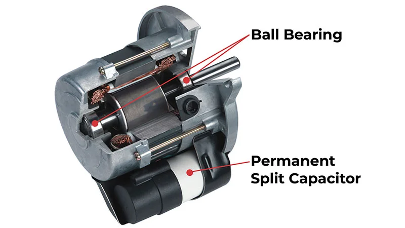 permanent split capacitor 3